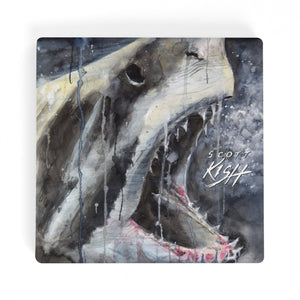 Shark Ceramic Coaster Set