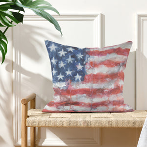 American Eagle Throw Pillow Cover