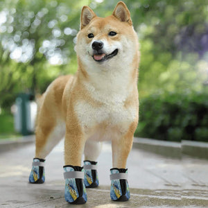 dog shoes with surfing design
