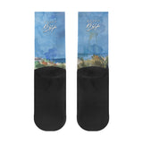 Scott Kish Caribbean crew socks