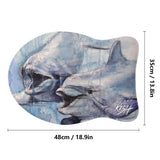 dolphin rug dimensions