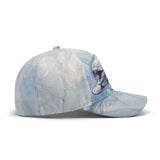 Dolphin Baseball Hat